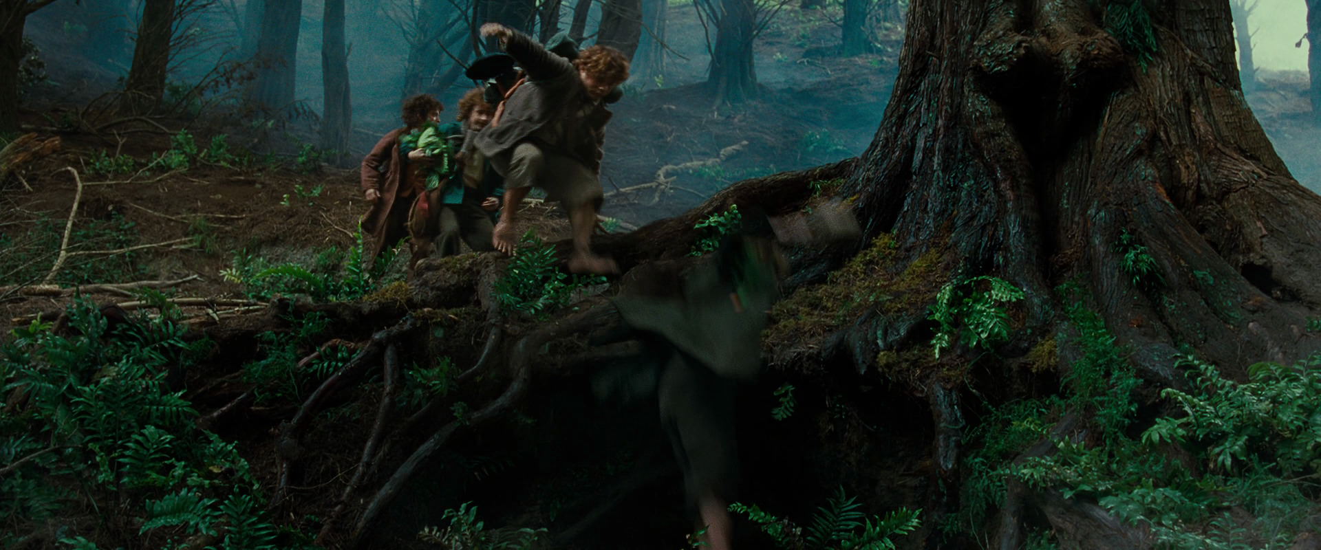 The Lord of the Rings: The Fellowship of the Ring (2001) screencap 6180