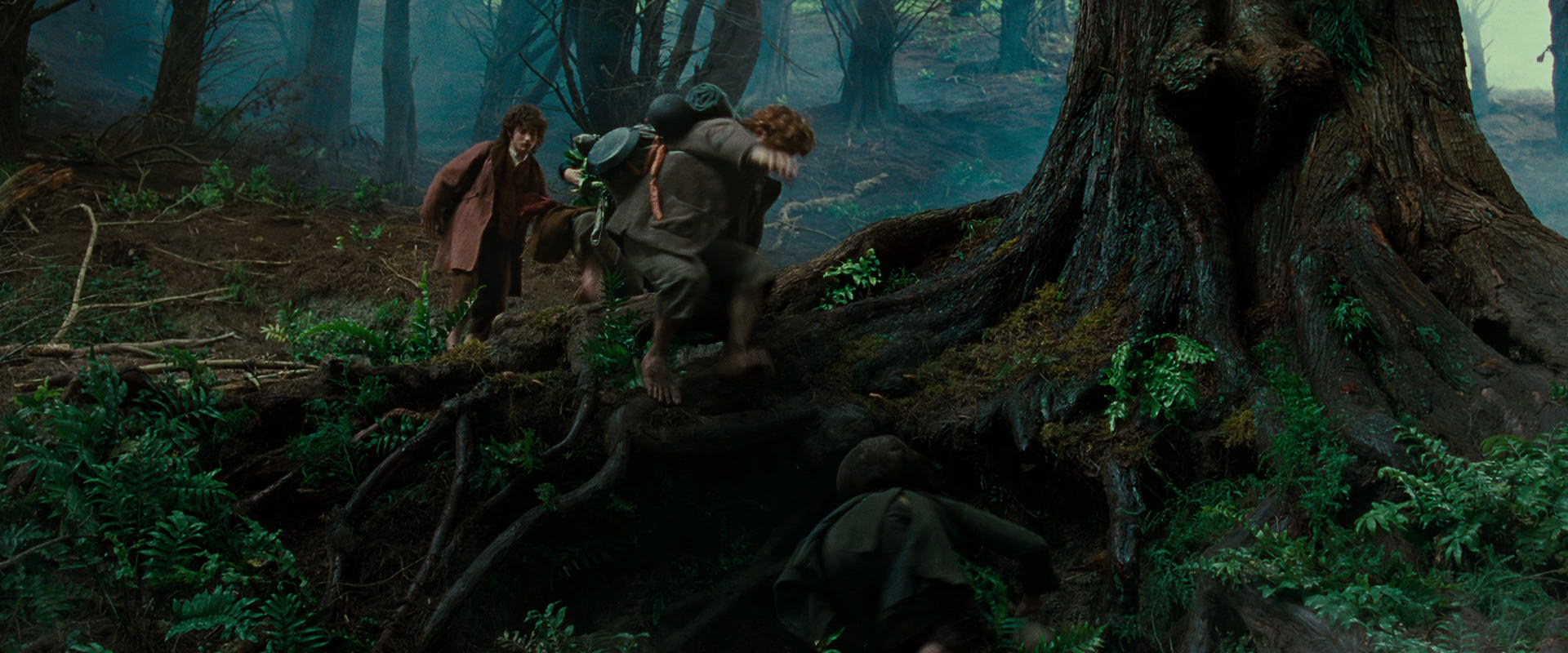 The Lord of the Rings: The Fellowship of the Ring (2001) movie still 6181