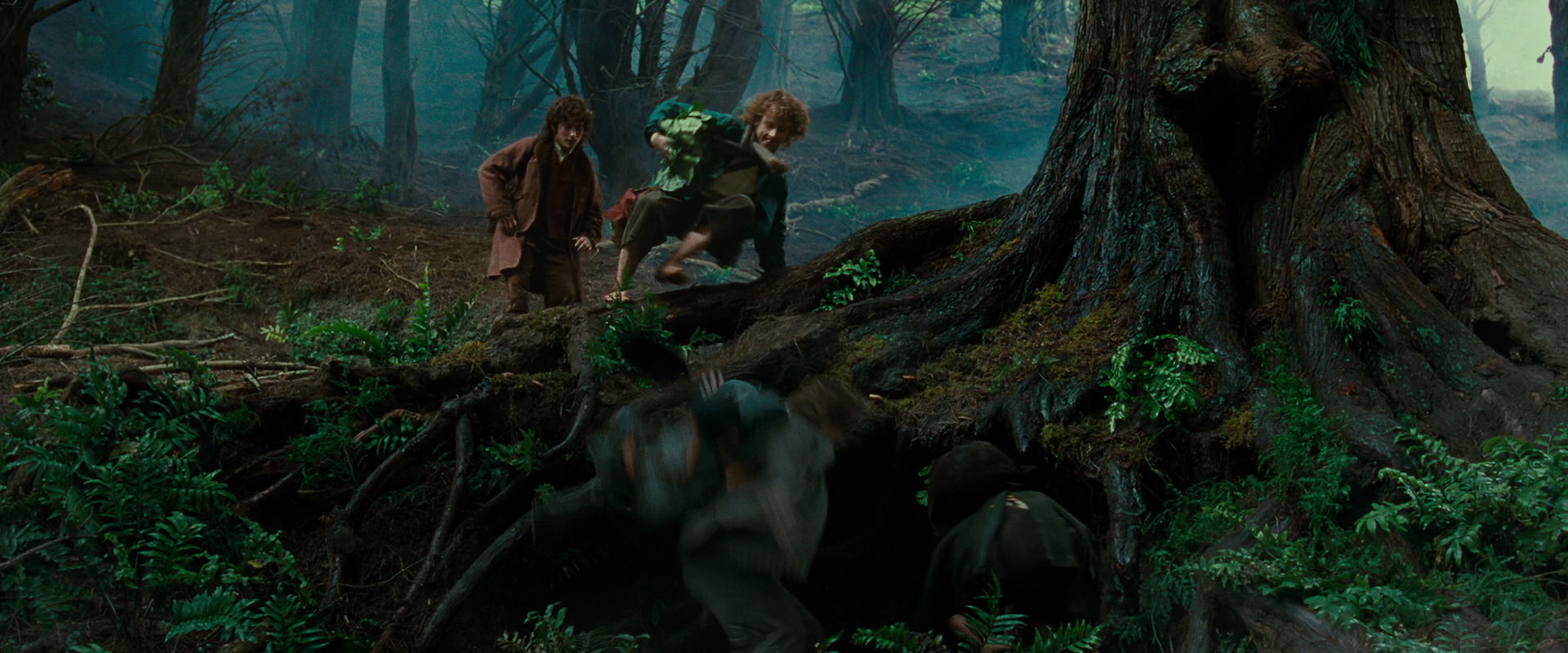 The Lord of the Rings: The Fellowship of the Ring (2001) HD screenshot 6182