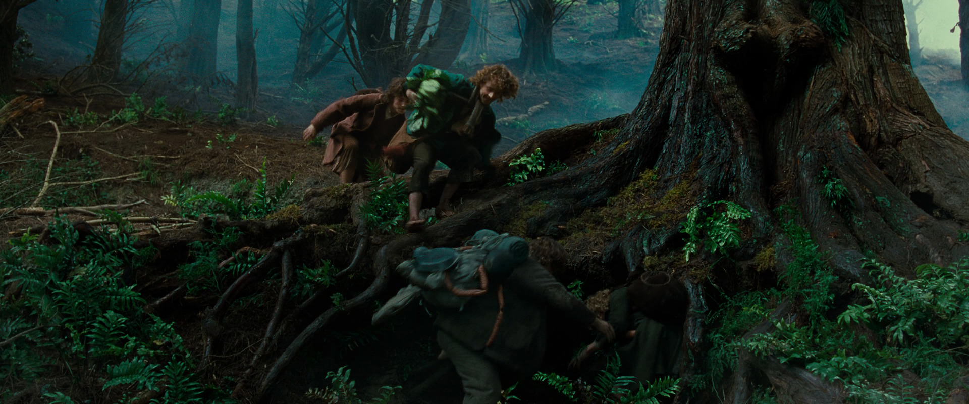The Lord of the Rings: The Fellowship of the Ring (2001) screencap 6183