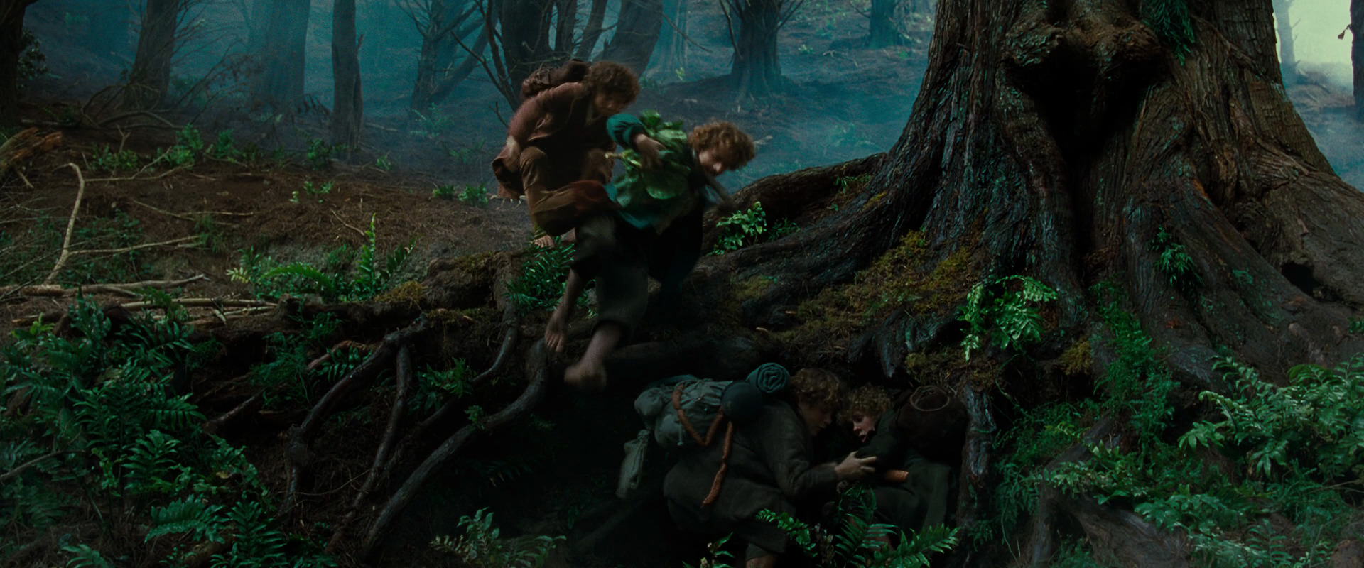 The Lord of the Rings: The Fellowship of the Ring (2001) movie still 6184