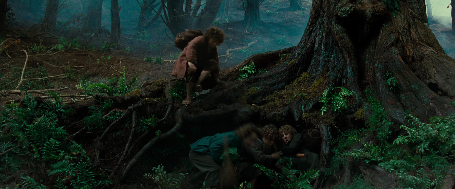 The Lord of the Rings: The Fellowship of the Ring (2001) HD screenshot 6185