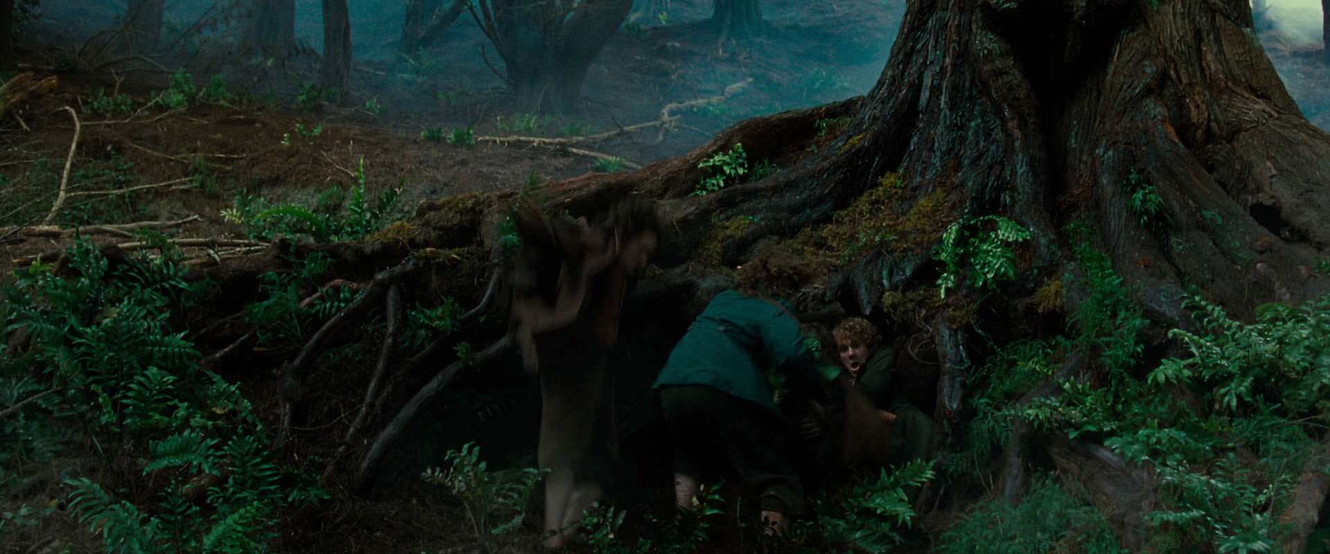 The Lord of the Rings: The Fellowship of the Ring (2001) screencap 6186
