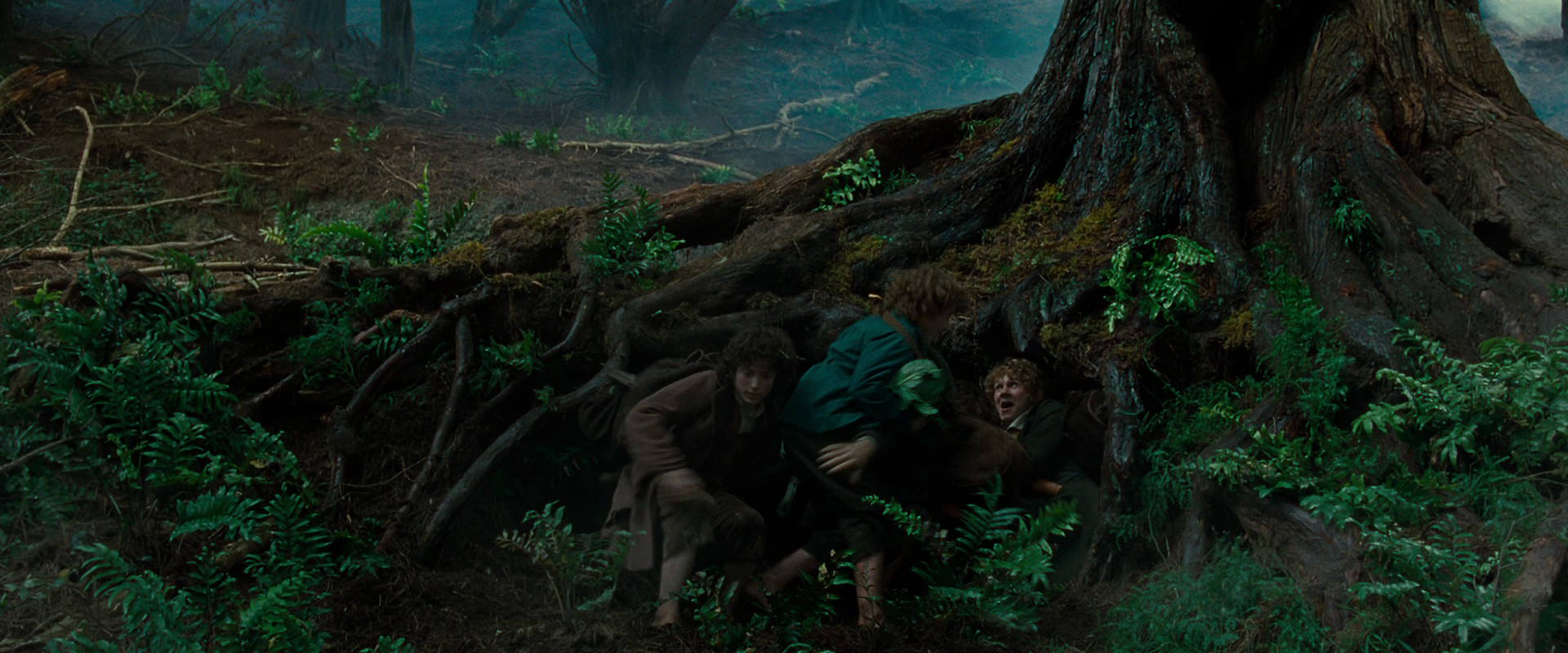 The Lord of the Rings: The Fellowship of the Ring (2001) movie still 6187