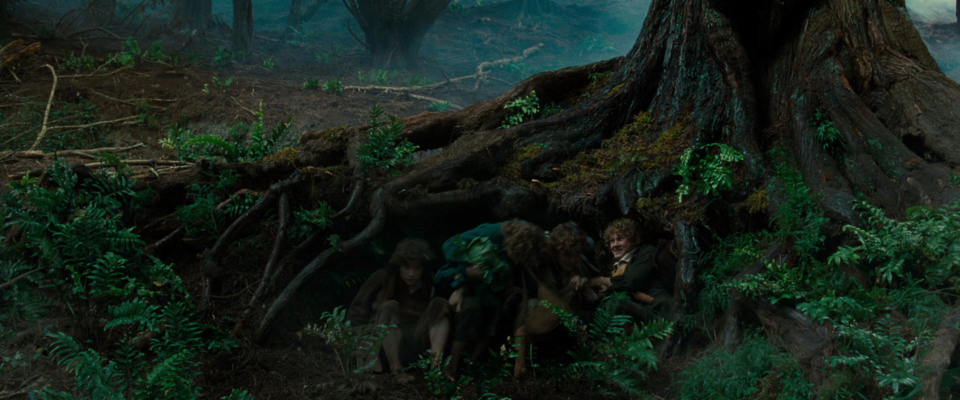 The Lord of the Rings: The Fellowship of the Ring (2001) HD screenshot 6188
