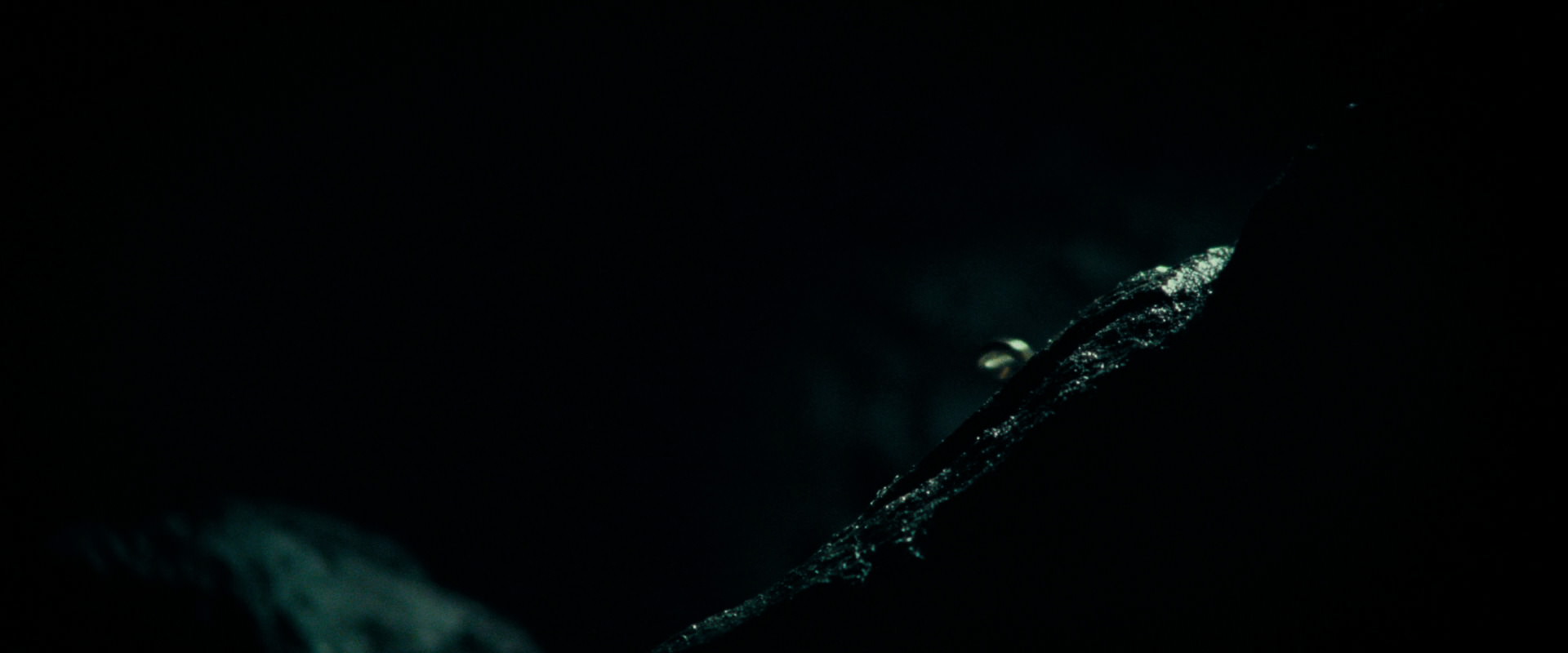 The Lord of the Rings: The Fellowship of the Ring (2001) movie still 619