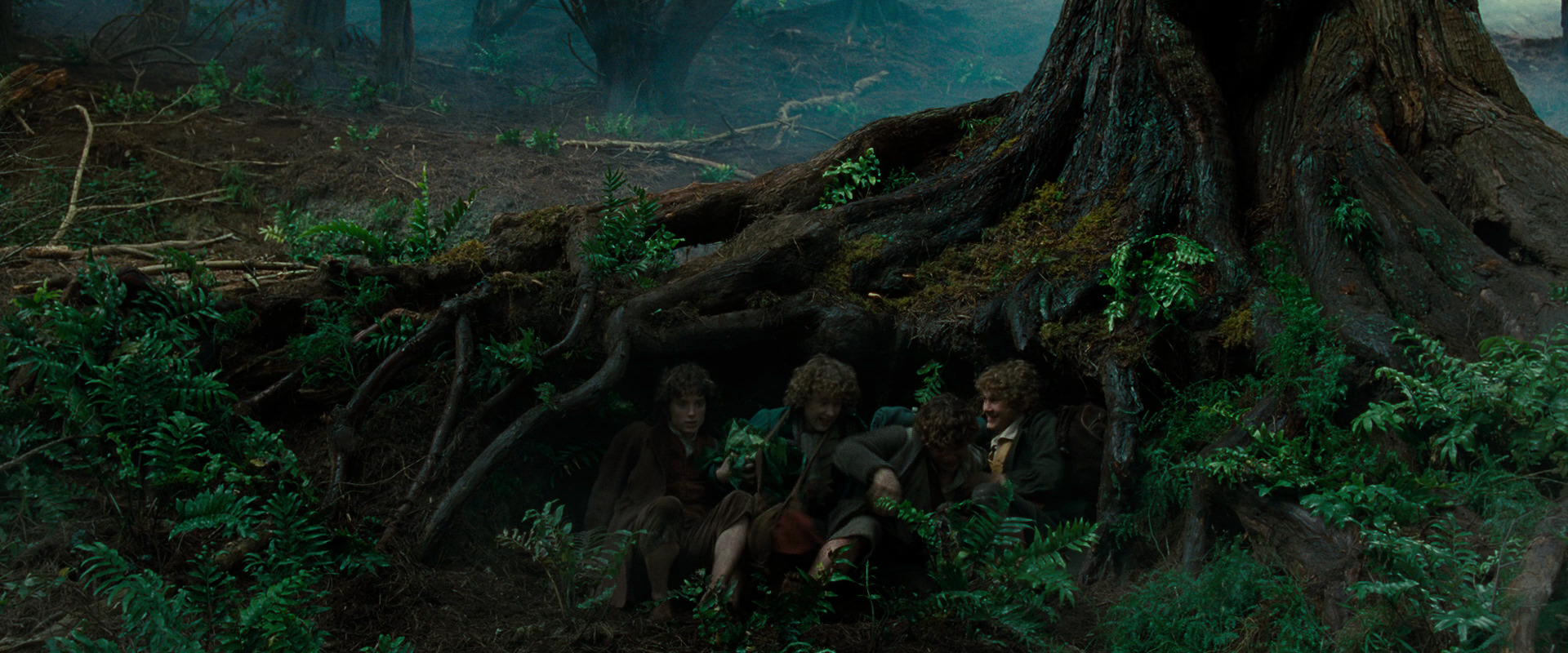The Lord of the Rings: The Fellowship of the Ring (2001) movie still 6190