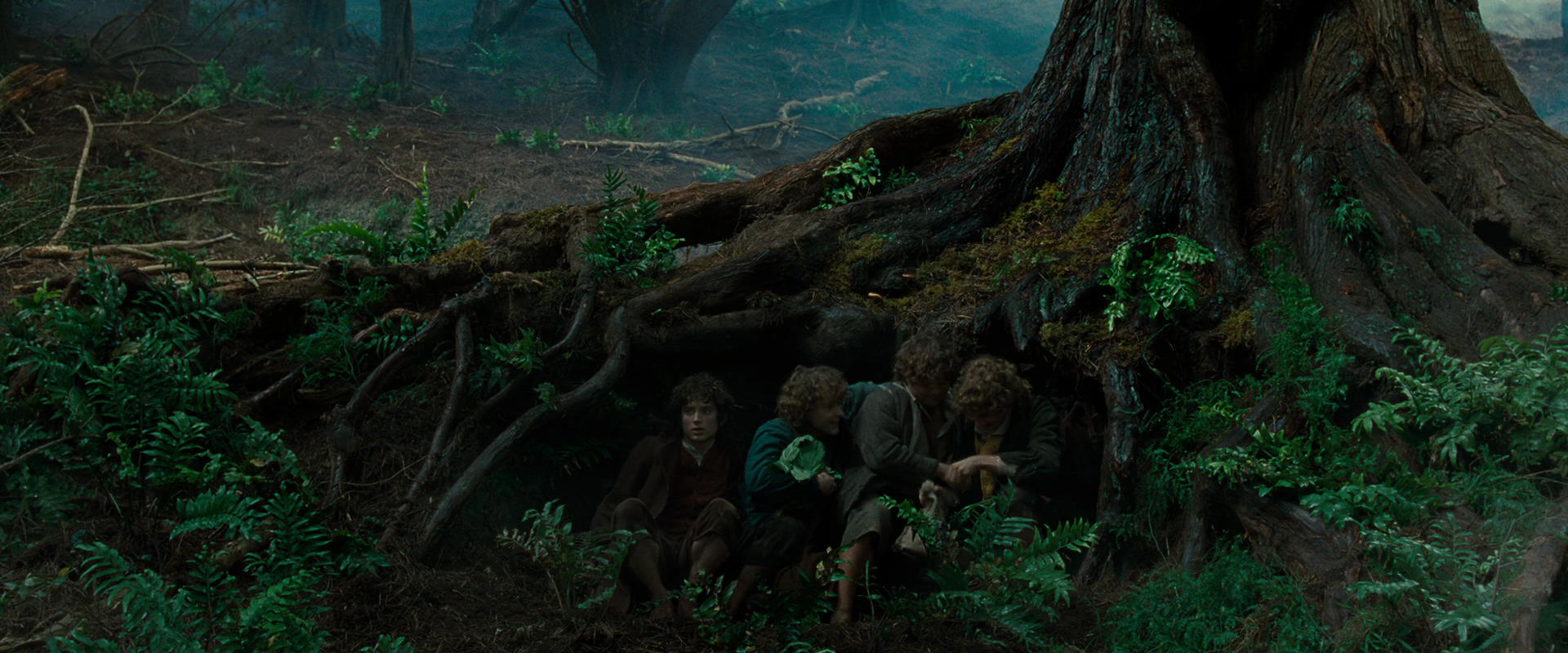 The Lord of the Rings: The Fellowship of the Ring (2001) movie still 6193