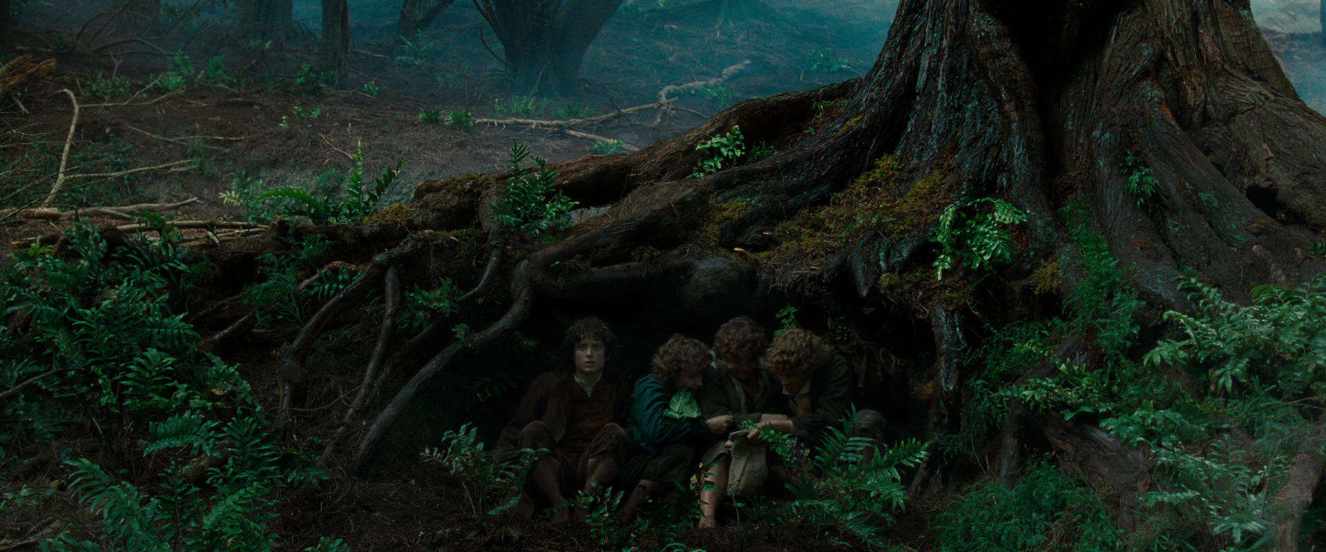 The Lord of the Rings: The Fellowship of the Ring (2001) screencap 6195