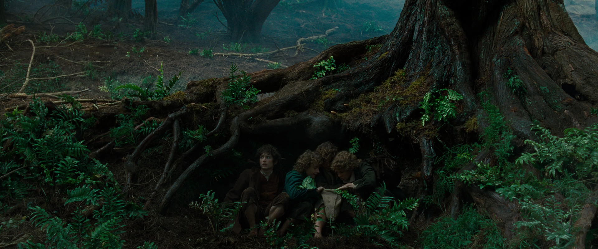The Lord of the Rings: The Fellowship of the Ring (2001) HD screenshot 6197