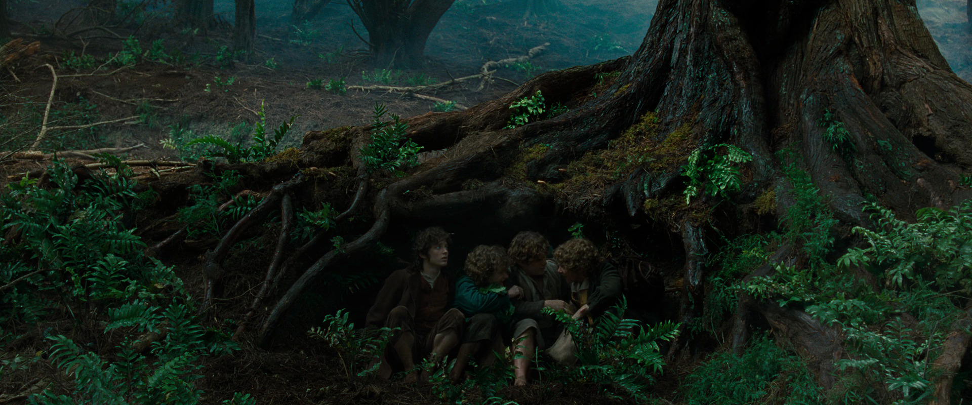 The Lord of the Rings: The Fellowship of the Ring (2001) HD screenshot 6200