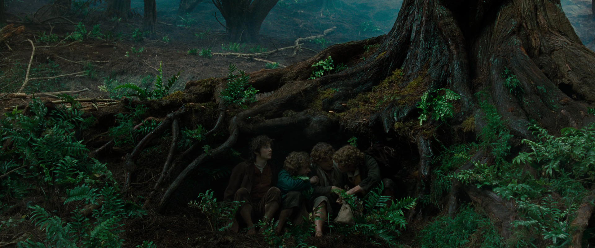 The Lord of the Rings: The Fellowship of the Ring (2001) screencap 6201