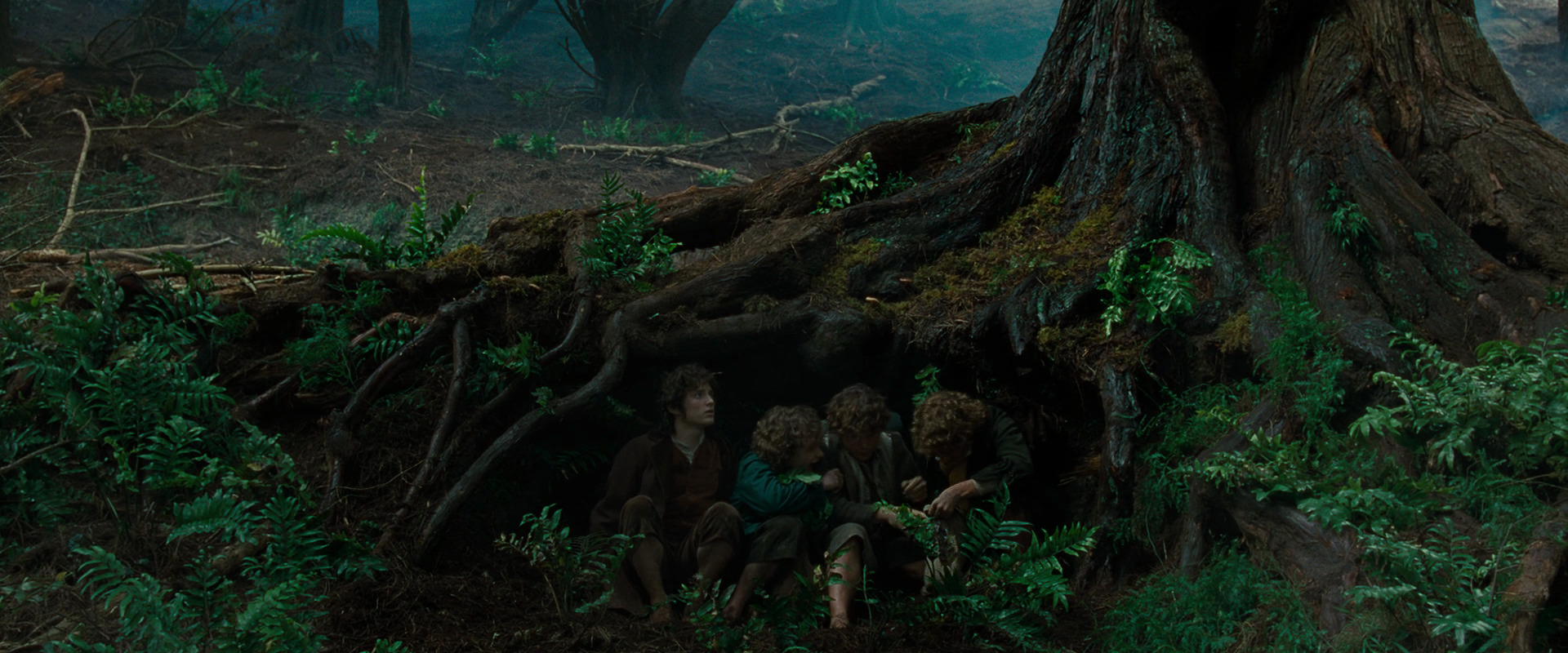 The Lord of the Rings: The Fellowship of the Ring (2001) movie still 6202