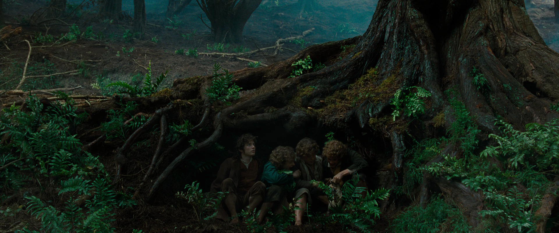 The Lord of the Rings: The Fellowship of the Ring (2001) HD screenshot 6203