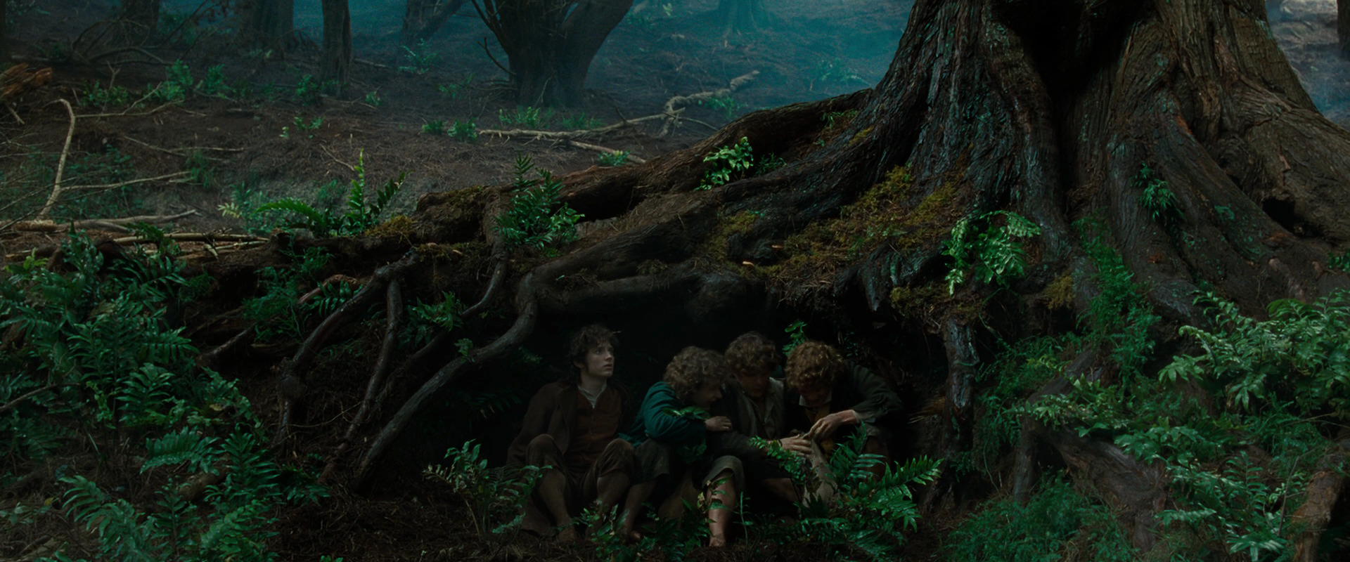 The Lord of the Rings: The Fellowship of the Ring (2001) screencap 6204