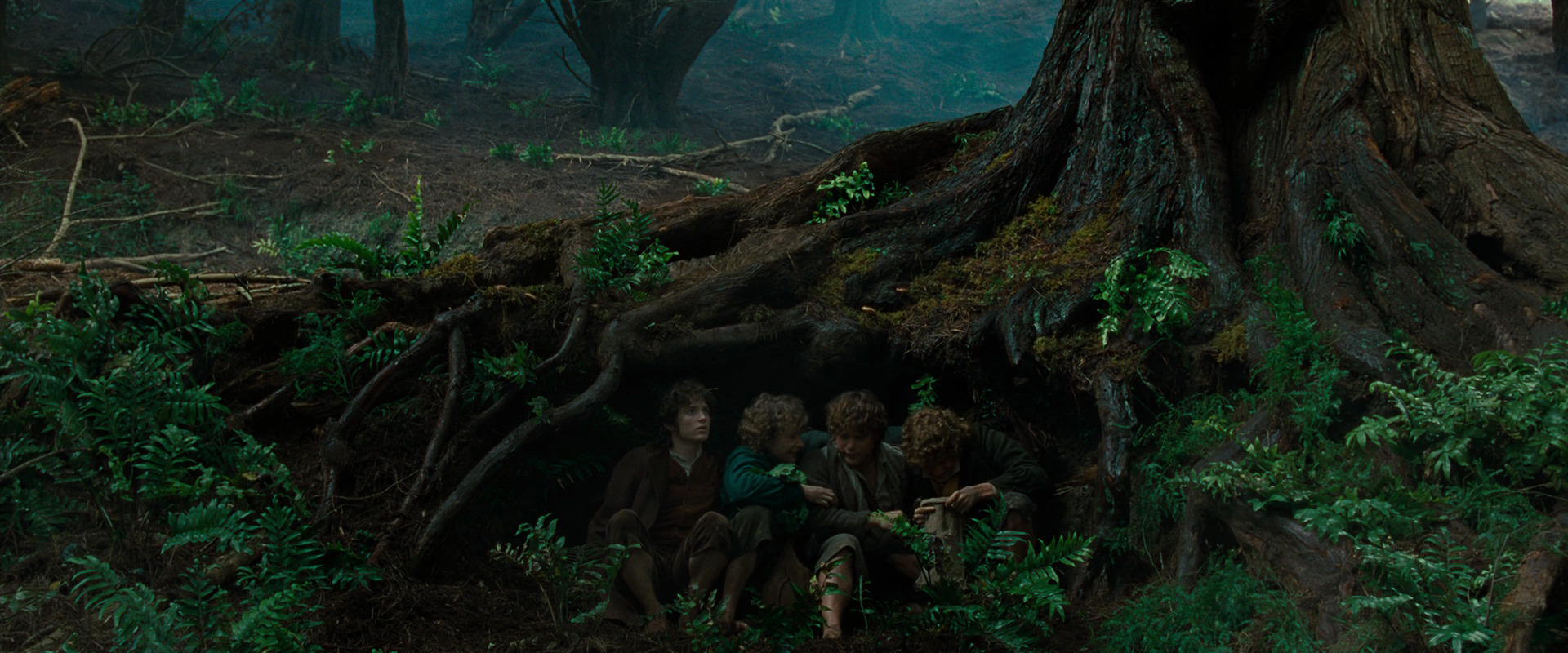 The Lord of the Rings: The Fellowship of the Ring (2001) movie still 6205