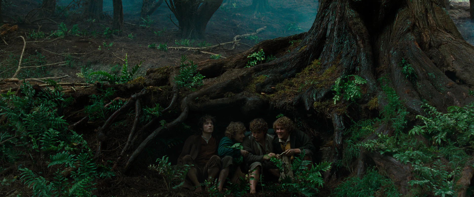 The Lord of the Rings: The Fellowship of the Ring (2001) screencap 6207