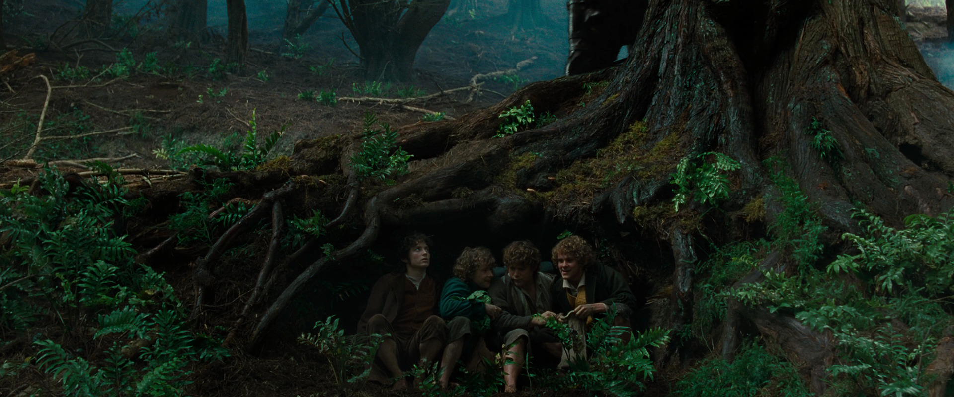 The Lord of the Rings: The Fellowship of the Ring (2001) movie still 6208