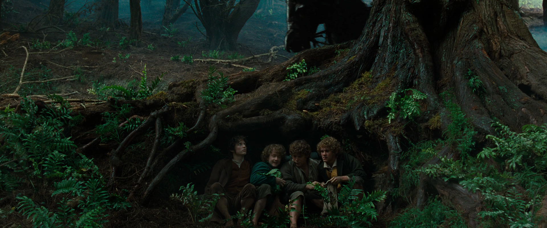 The Lord of the Rings: The Fellowship of the Ring (2001) HD screenshot 6209