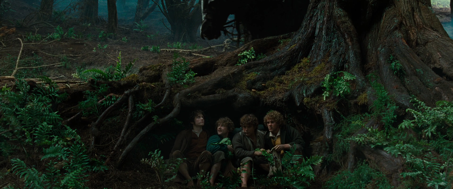 The Lord of the Rings: The Fellowship of the Ring (2001) screencap 6210