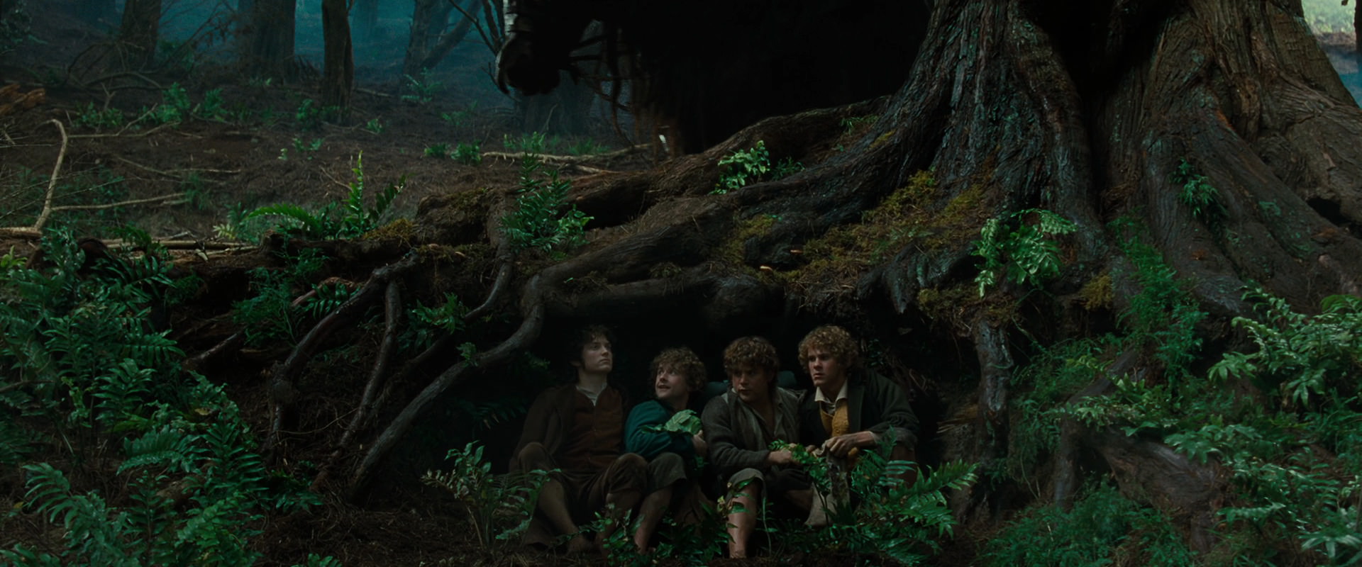 The Lord of the Rings: The Fellowship of the Ring (2001) movie still 6211