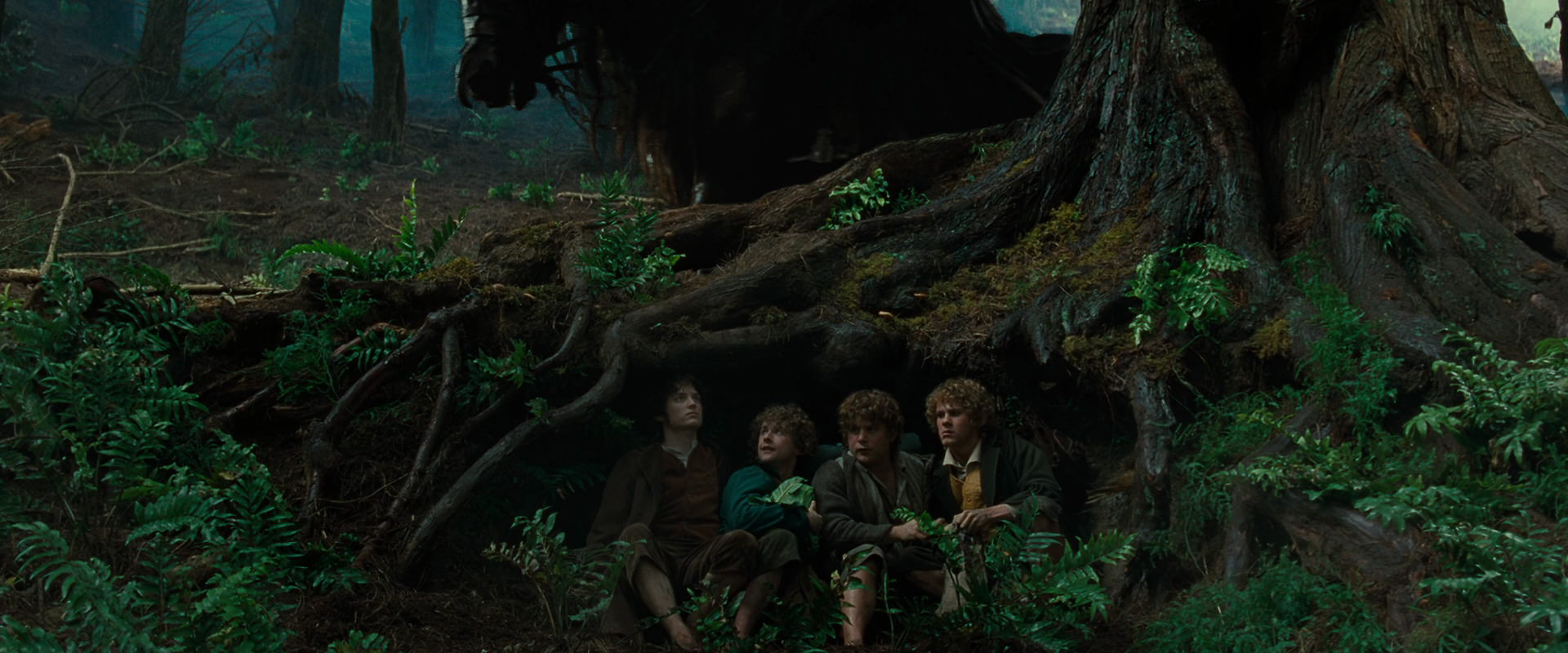 The Lord of the Rings: The Fellowship of the Ring (2001) HD screenshot 6212