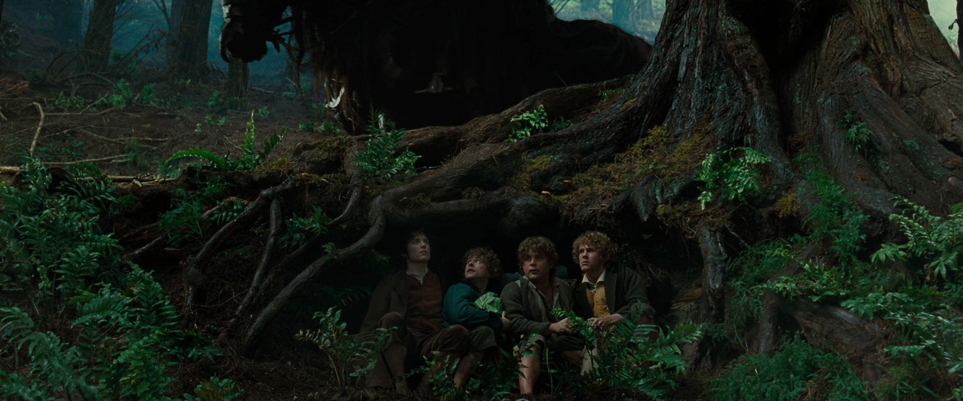 The Lord of the Rings: The Fellowship of the Ring (2001) screencap 6213