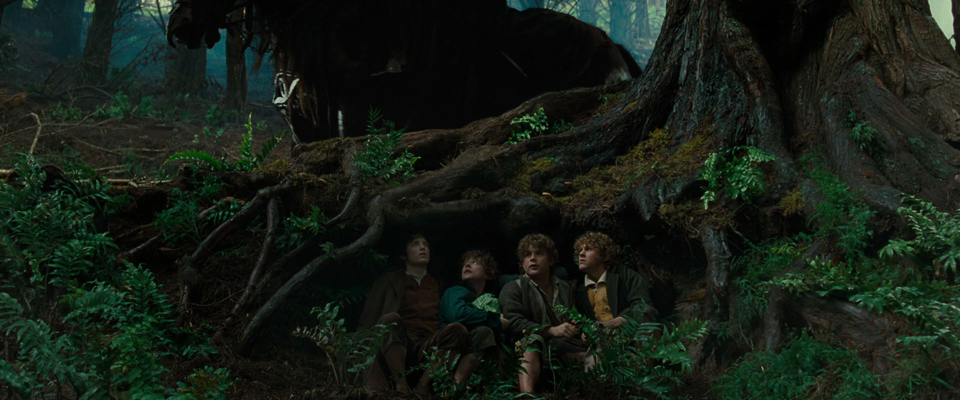The Lord of the Rings: The Fellowship of the Ring (2001) movie still 6214