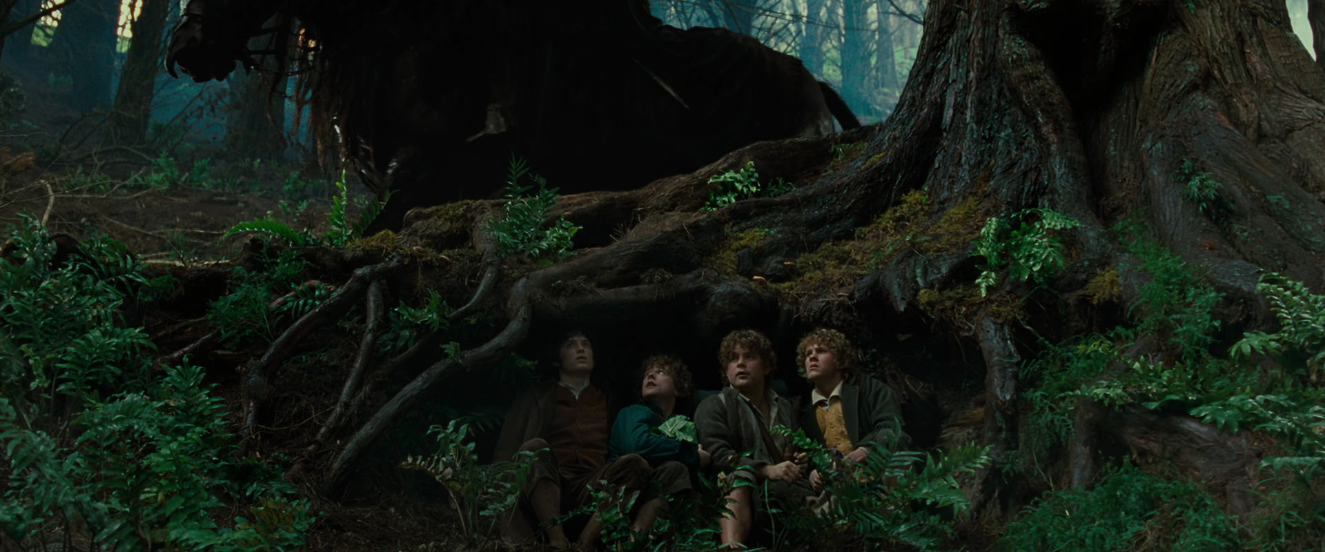 The Lord of the Rings: The Fellowship of the Ring (2001) HD screenshot 6215