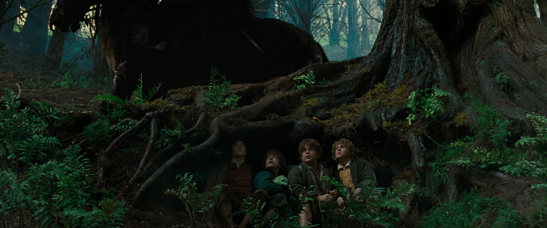 The Lord of the Rings: The Fellowship of the Ring (2001) screencap 6216