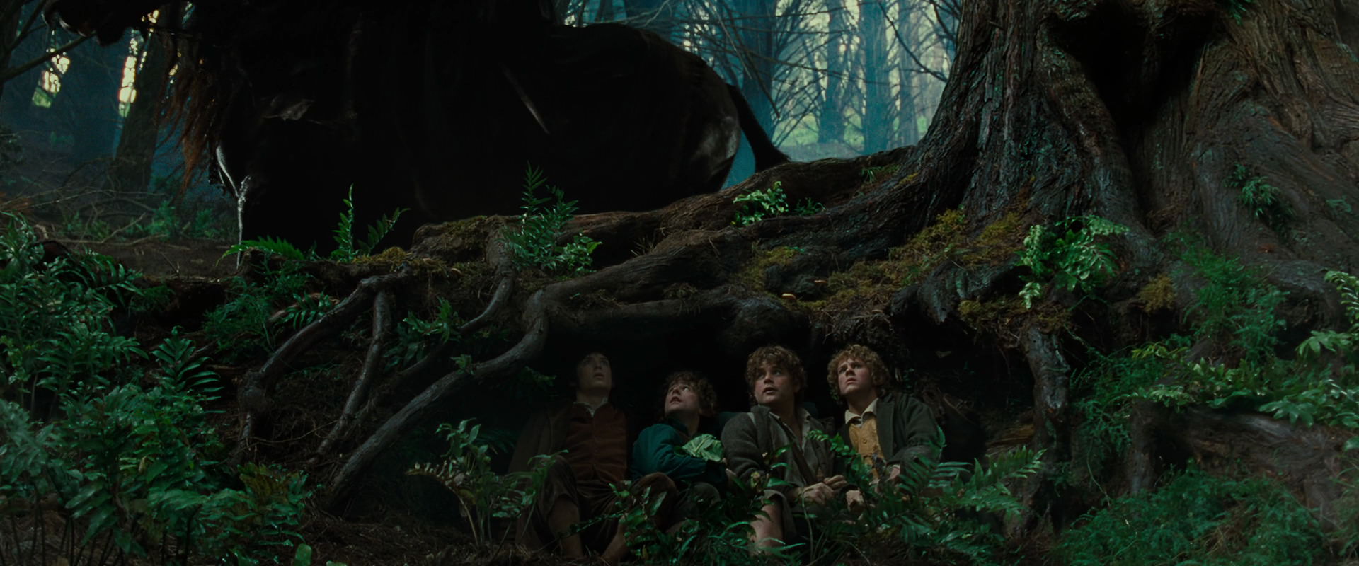The Lord of the Rings: The Fellowship of the Ring (2001) movie still 6217