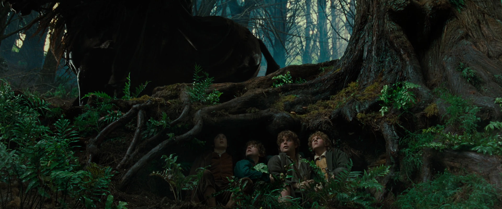 The Lord of the Rings: The Fellowship of the Ring (2001) HD screenshot 6218