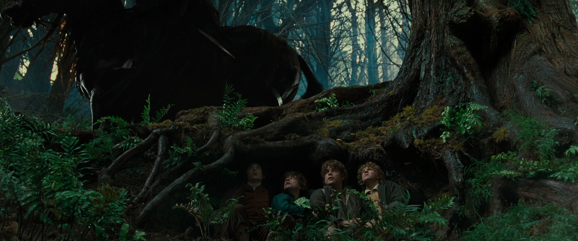 The Lord of the Rings: The Fellowship of the Ring (2001) screencap 6219