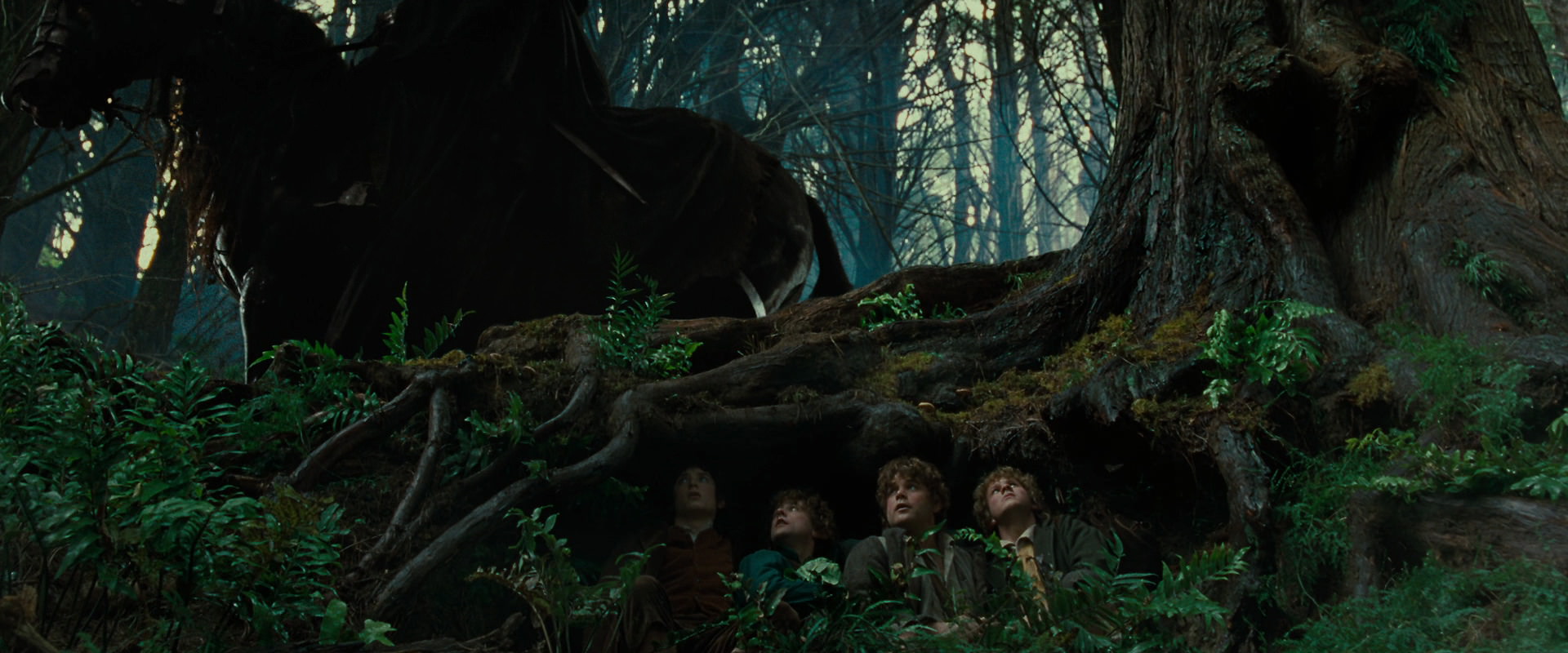 The Lord of the Rings: The Fellowship of the Ring (2001) movie still 6220
