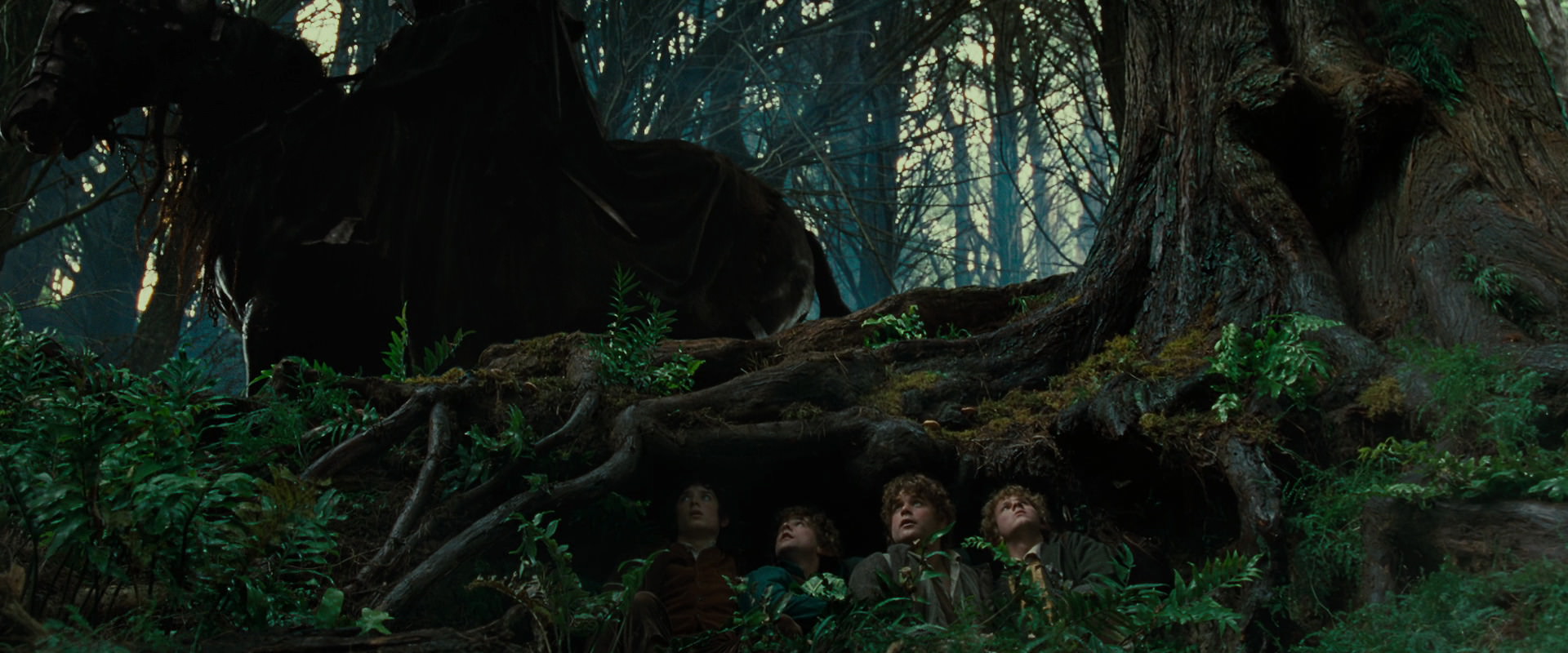 The Lord of the Rings: The Fellowship of the Ring (2001) HD screenshot 6221