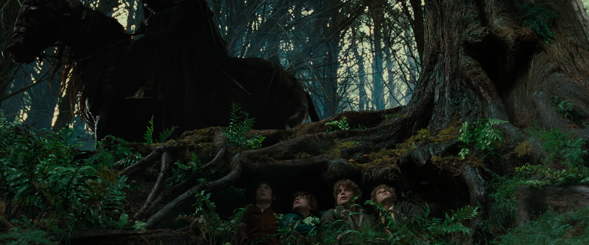 The Lord of the Rings: The Fellowship of the Ring (2001) screencap 6222