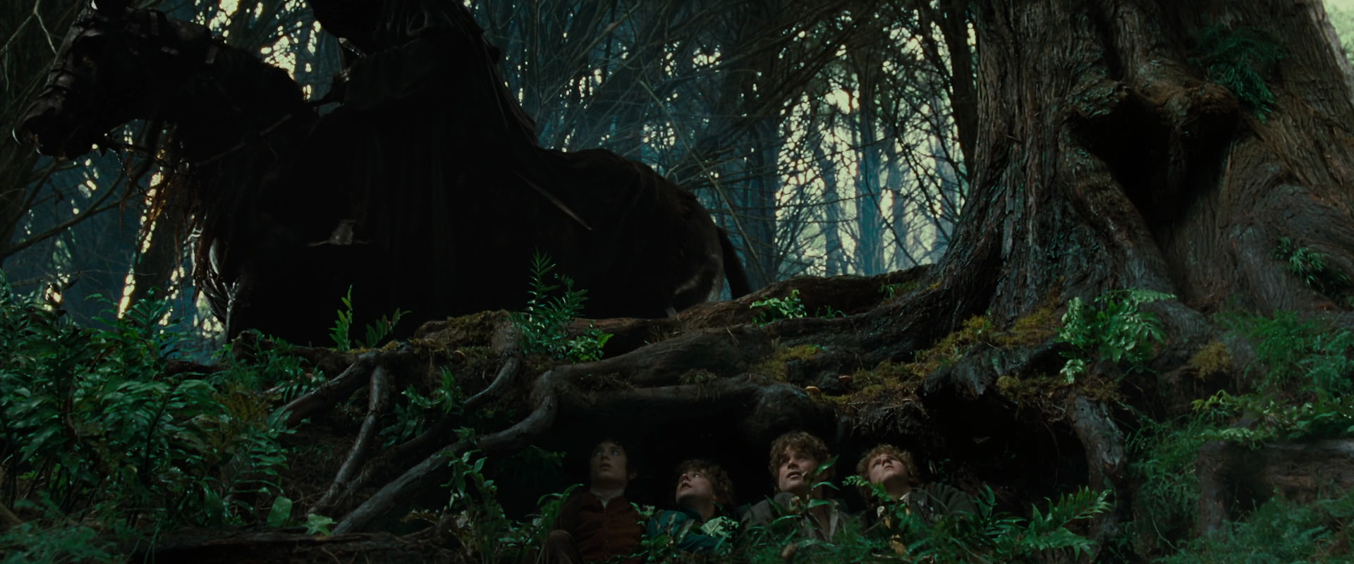 The Lord of the Rings: The Fellowship of the Ring (2001) movie still 6223