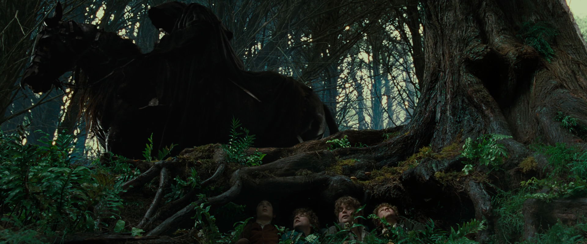 The Lord of the Rings: The Fellowship of the Ring (2001) screencap 6225