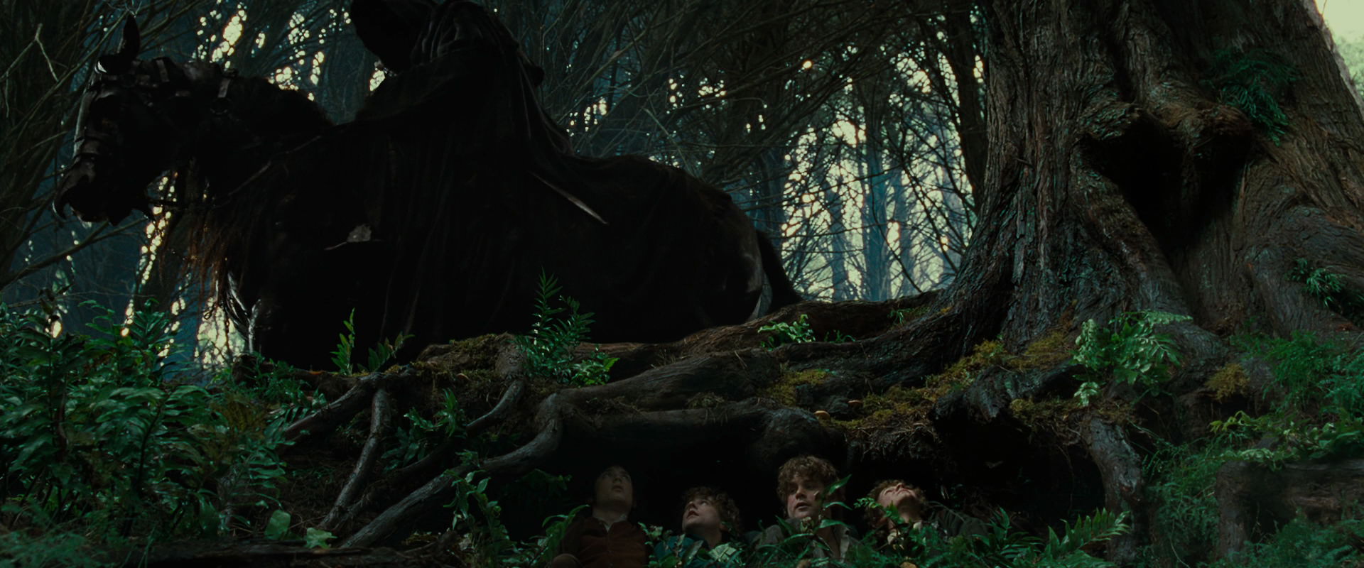 The Lord of the Rings: The Fellowship of the Ring (2001) movie still 6226