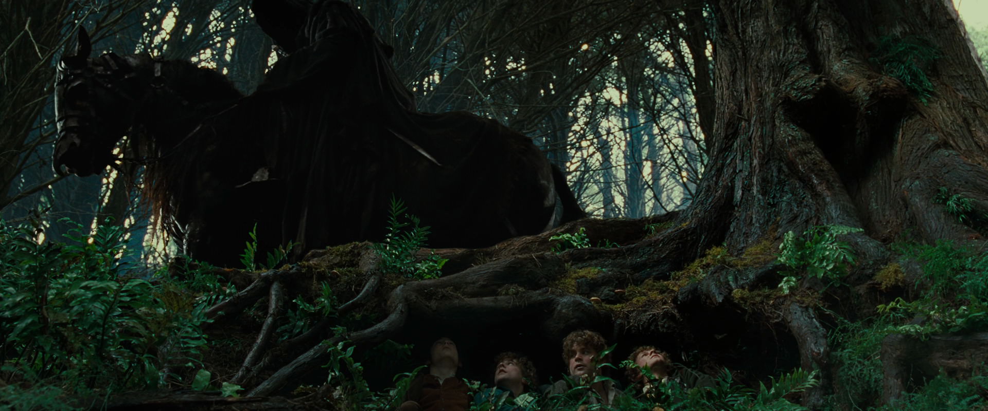 The Lord of the Rings: The Fellowship of the Ring (2001) HD screenshot 6227