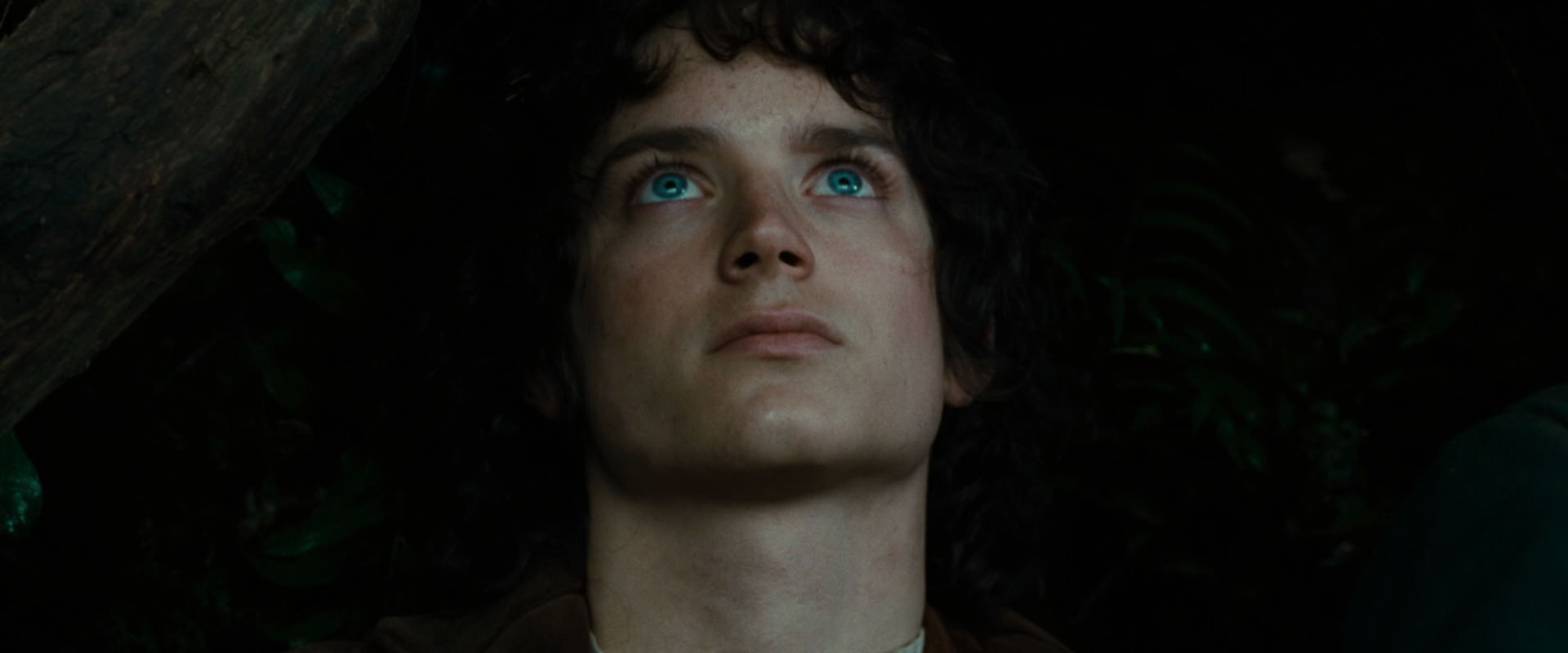 The Lord of the Rings: The Fellowship of the Ring (2001) screencap 6228