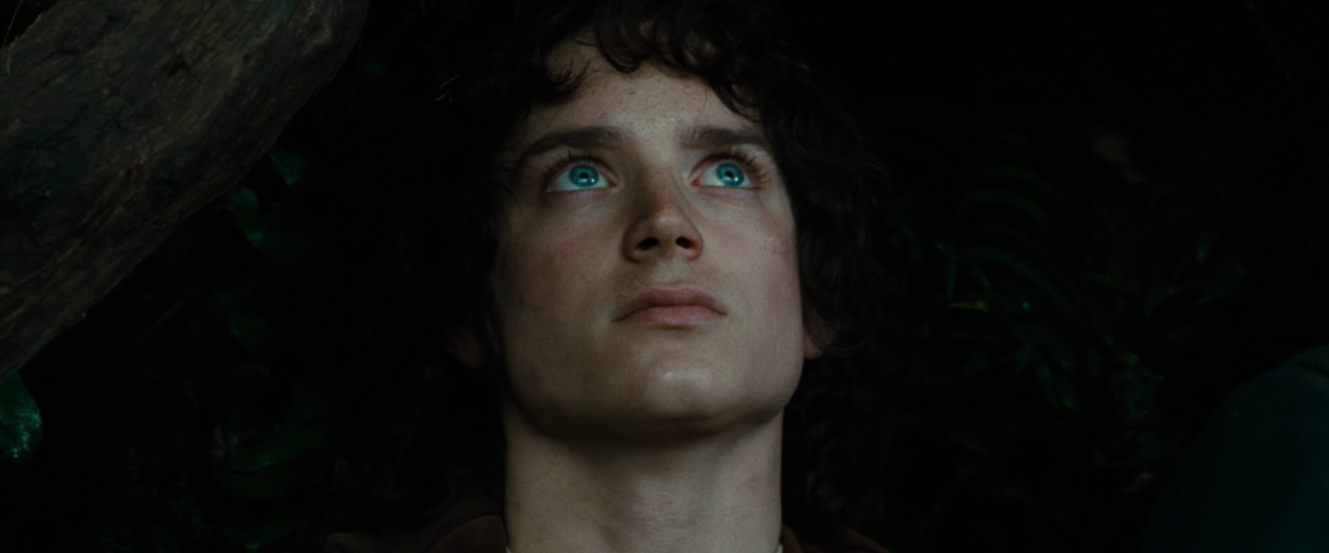 The Lord of the Rings: The Fellowship of the Ring (2001) movie still 6229
