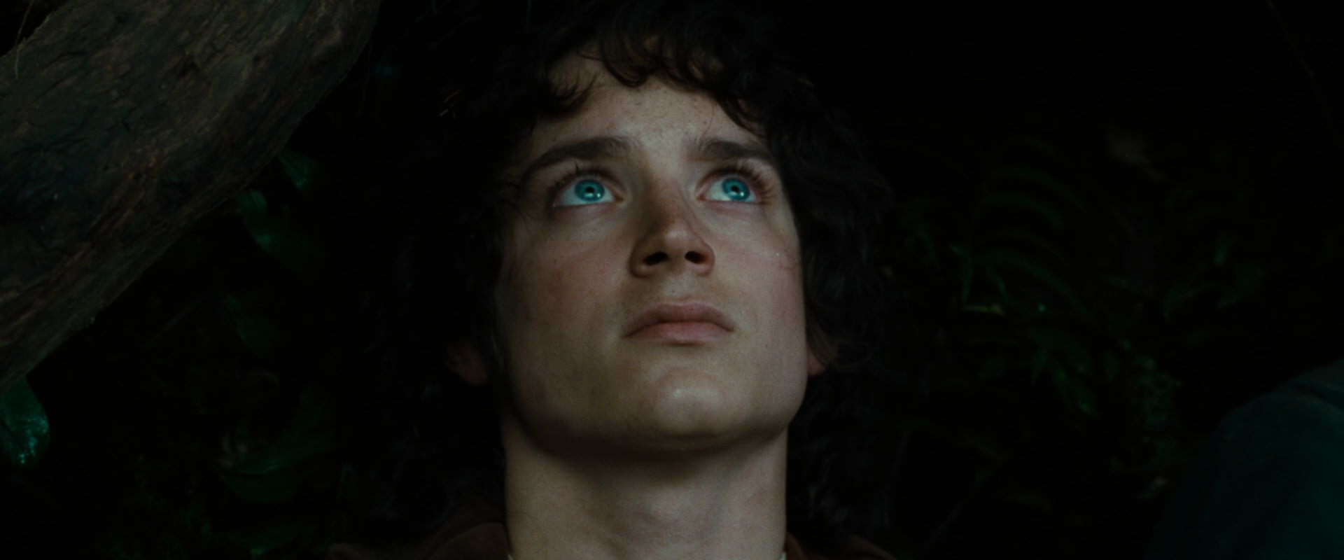The Lord of the Rings: The Fellowship of the Ring (2001) HD screenshot 6230