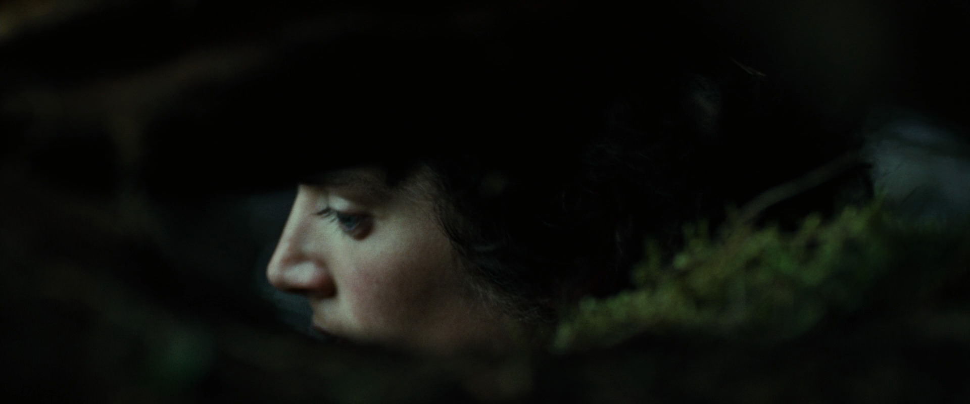 The Lord of the Rings: The Fellowship of the Ring (2001) screencap 6231