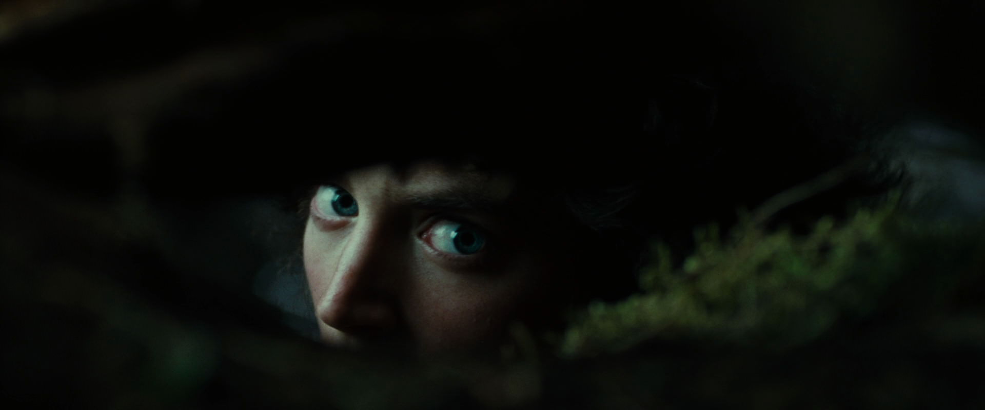 The Lord of the Rings: The Fellowship of the Ring (2001) HD screenshot 6233