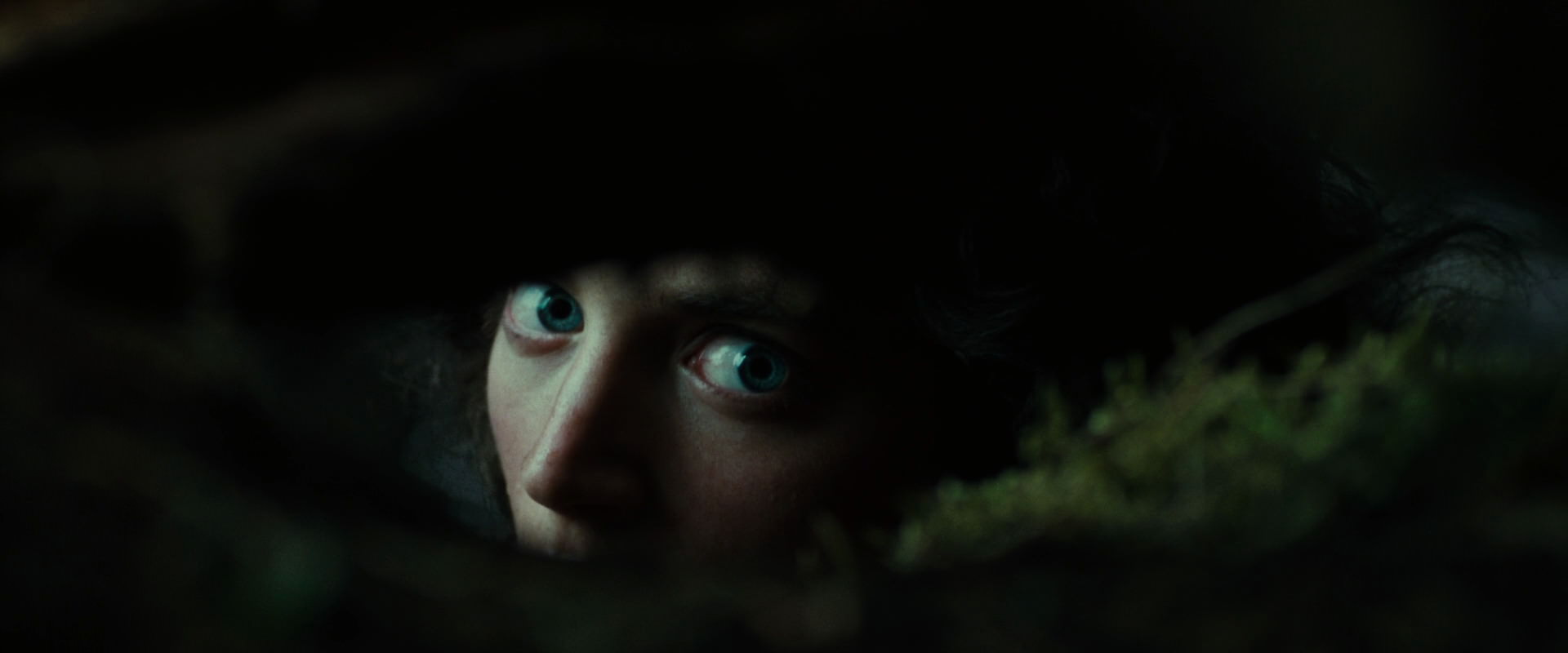 The Lord of the Rings: The Fellowship of the Ring (2001) screencap 6234
