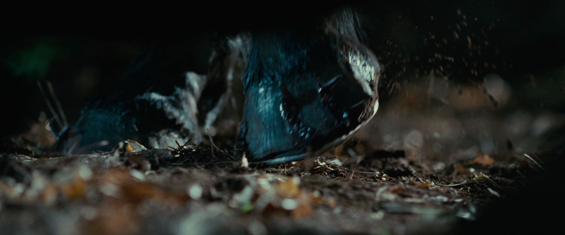 The Lord of the Rings: The Fellowship of the Ring (2001) HD screenshot 6236