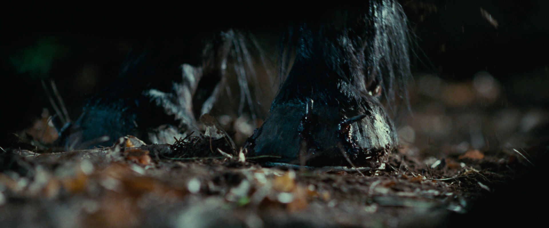 The Lord of the Rings: The Fellowship of the Ring (2001) screencap 6237
