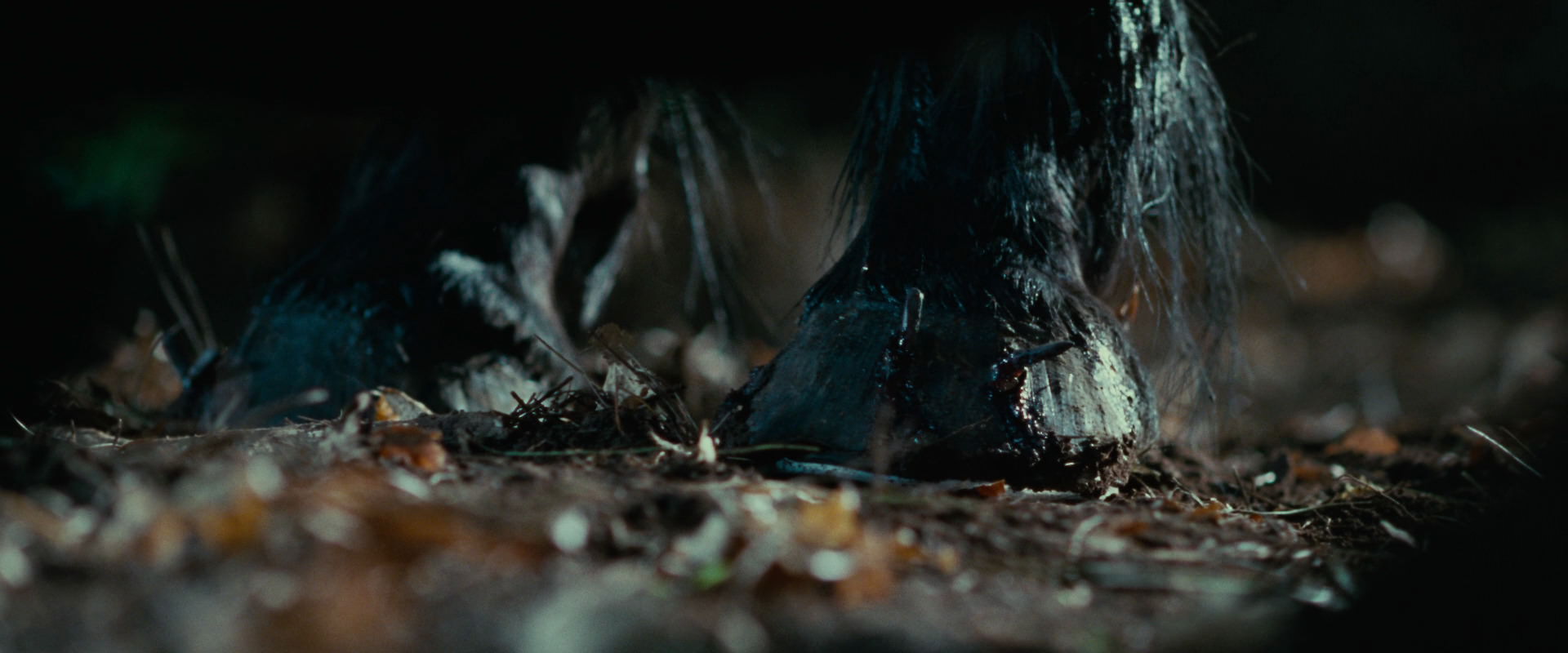 The Lord of the Rings: The Fellowship of the Ring (2001) movie still 6238