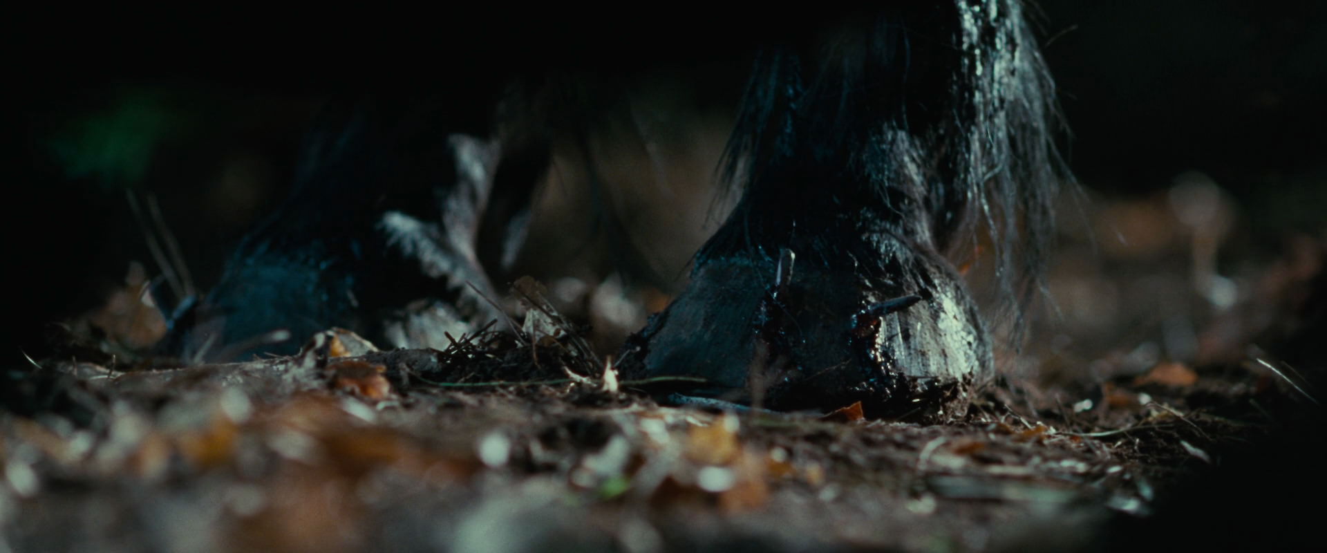 The Lord of the Rings: The Fellowship of the Ring (2001) HD screenshot 6239